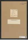 Asteromphalus hepactis (Breb.) Ralfs. (de-Toni-Nr.: Genus 236, Species 5701) Zeichnungen Sammlung Grunow Nr. 9705 (NHMW-BOT-W0379646)